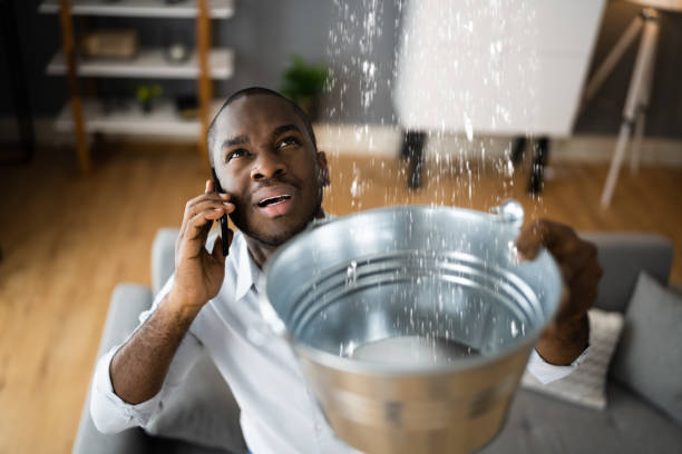 Best Water damage restoration experts  in Brownsville, FL