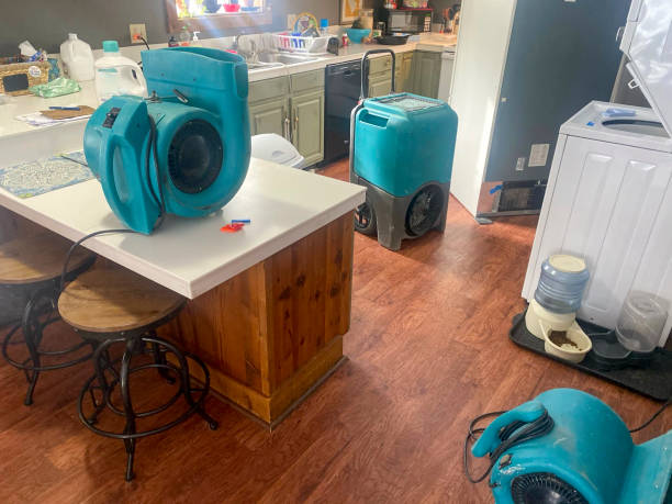 Best Basement water damage restoration  in Brownsville, FL
