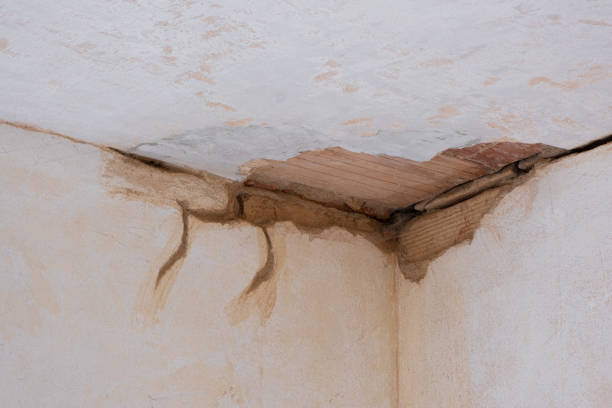  Brownsville, FL Water damage restoration Pros