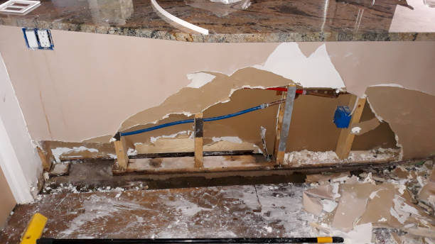 Best Water damage contractors near me  in Brownsville, FL