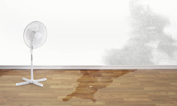 Water damage restoration experts in Brownsville, FL