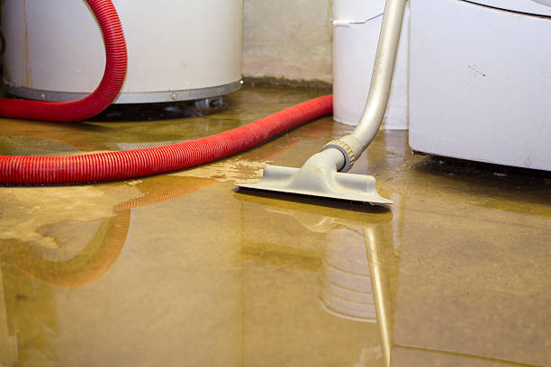 Best Water damage restoration specialists  in Brownsville, FL