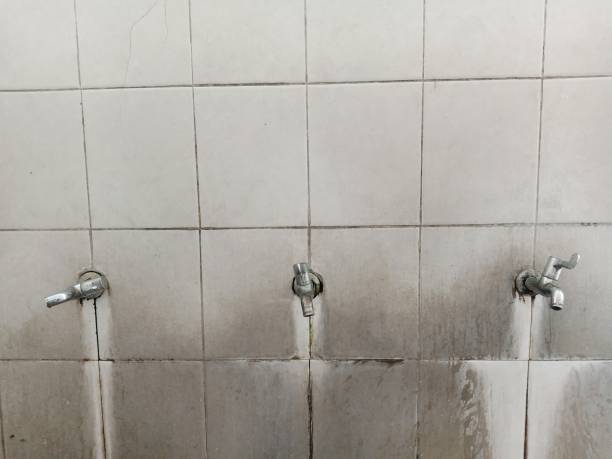 Best Ceiling water damage repair  in Brownsville, FL