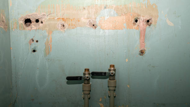 Best Flooded house restoration  in Brownsville, FL