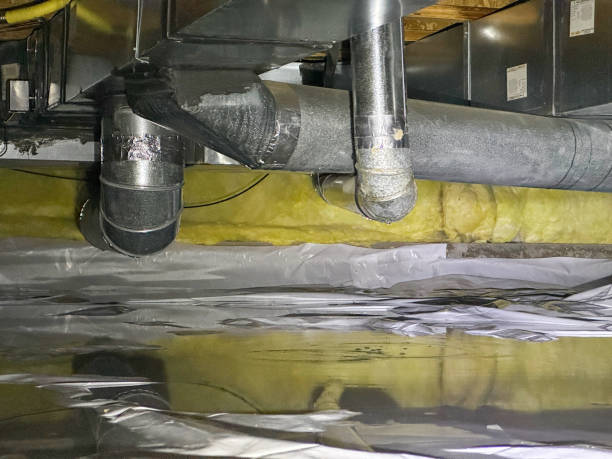 Best Emergency water damage restoration  in Brownsville, FL