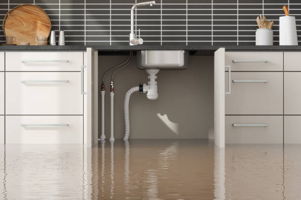 24/7 water damage repair in Brownsville, FL