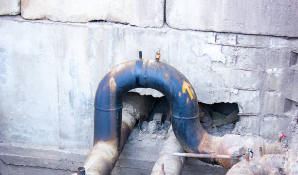 Best Mold removal after water damage  in Brownsville, FL