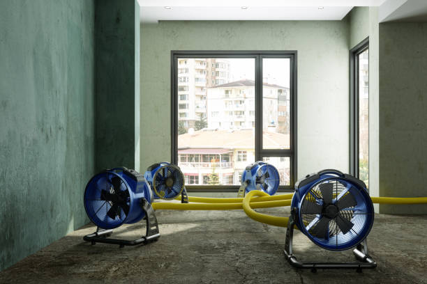 Best 24/7 water damage repair  in Brownsville, FL