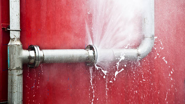 Best Fire Damage Restoration  in Brownsville, FL