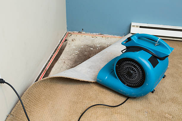 Best 24-hour water damage restoration  in Brownsville, FL