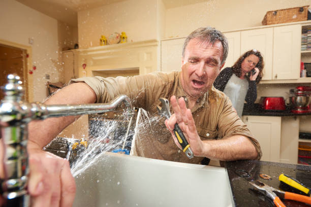 Best Water damage cleanup near me  in Brownsville, FL